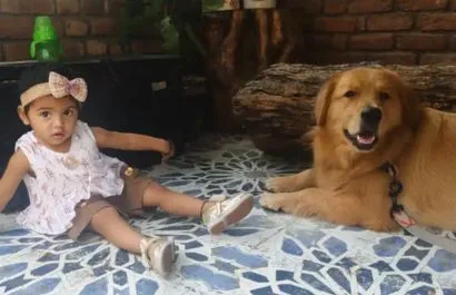 Pet friendly resort near Dehradun Dhanolti Uttarakhand Granny's Den