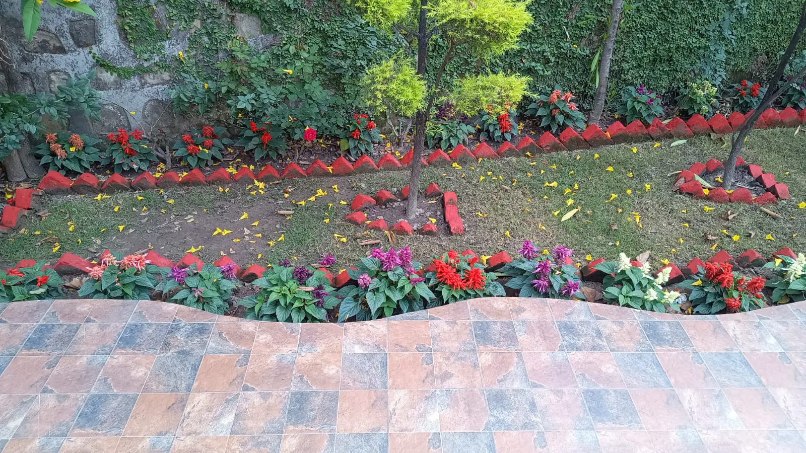 Nature